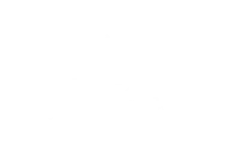 Les Godefroid